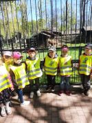 większy obrazek nr 4