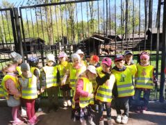 większy obrazek nr 5