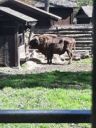 większy obrazek nr 6