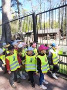 większy obrazek nr 7