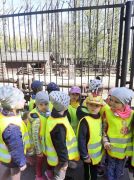 większy obrazek nr 8