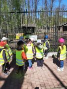 większy obrazek nr 9