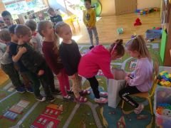 większy obrazek nr 6