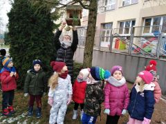 większy obrazek nr 4