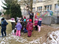 większy obrazek nr 5