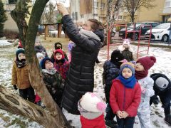 większy obrazek nr 6