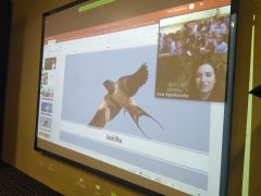 większy obrazek nr 7