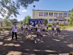 większy obrazek nr 15