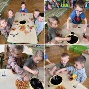 większy obrazek nr 7