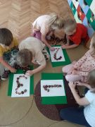 ilustracja do wpisu 
Kasztanowy zawrót głowy