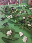 większy obrazek nr 2