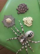 większy obrazek nr 7