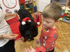 większy obrazek nr 35