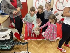 większy obrazek nr 39