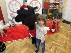 większy obrazek nr 43