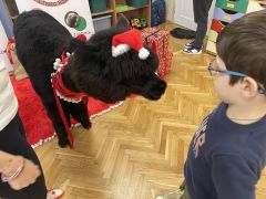 większy obrazek nr 30