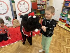 większy obrazek nr 25