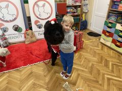 większy obrazek nr 11