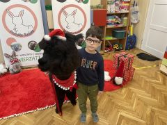 większy obrazek nr 17