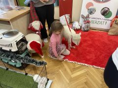 większy obrazek nr 55