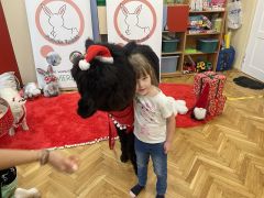 większy obrazek nr 57