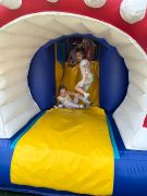 większy obrazek nr 100