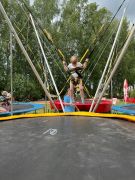 większy obrazek nr 148