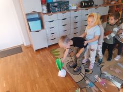 większy obrazek nr 5