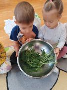 większy obrazek nr 7