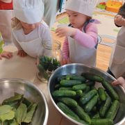 większy obrazek nr 14