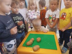 większy obrazek nr 17