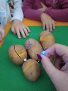 większy obrazek nr 19