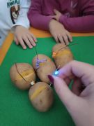 większy obrazek nr 20