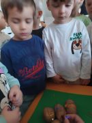 większy obrazek nr 21