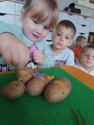 większy obrazek nr 22