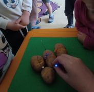 większy obrazek nr 23