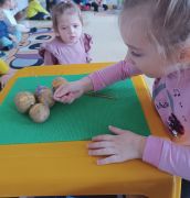 większy obrazek nr 25