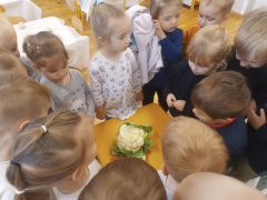 większy obrazek nr 26