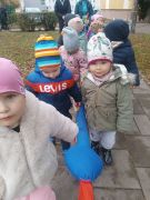 większy obrazek nr 37