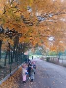 większy obrazek nr 39