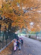 większy obrazek nr 40