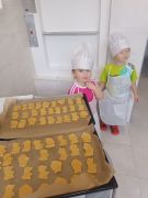 większy obrazek nr 28