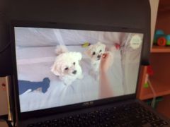 większy obrazek nr 34