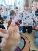 większy obrazek nr 36