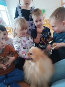 większy obrazek nr 37