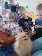 większy obrazek nr 38