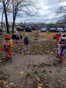 większy obrazek nr 40