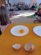 większy obrazek nr 53