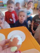 większy obrazek nr 63