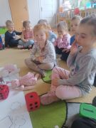 większy obrazek nr 9